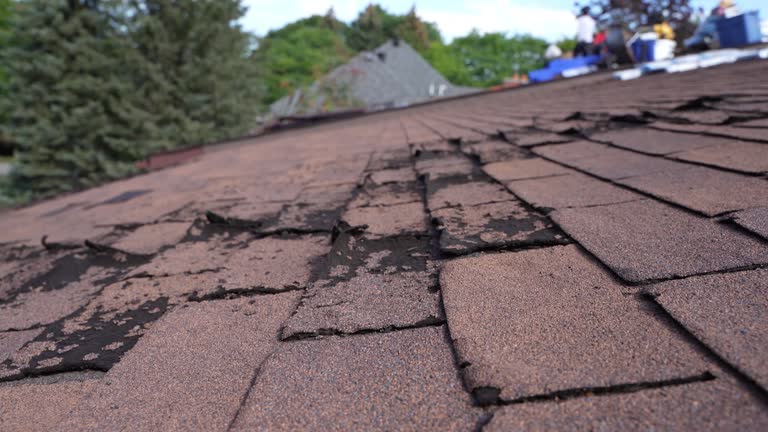 Best Cold Roofs  in West Hill, OH